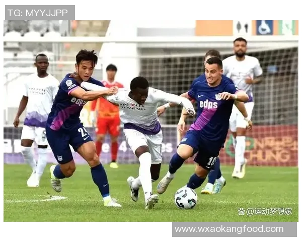 足球与排球的运动特点规则及场地设备的全面对比分析